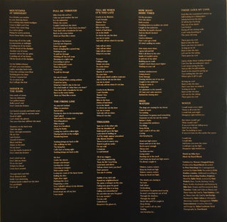 Royal Blood (6) : Back To The Water Below (LP, Album)