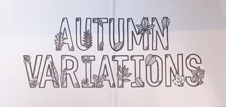 Ed Sheeran : Autumn Variations (CD, Album)