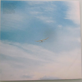 James Blunt : Who We Used To Be  (12", Album, Ltd, Rec)
