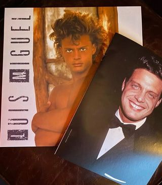 Luis Miguel : Busca Una Mujer (LP, Album, RE)