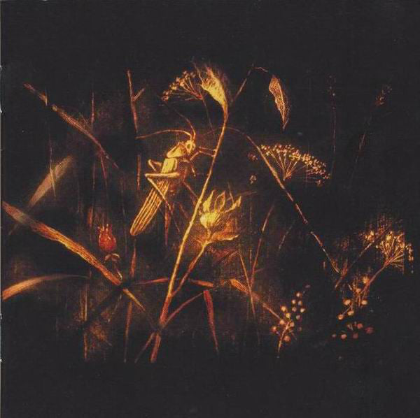 Pat Metheny & Anna Maria Jopek : Upojenie (CD, Album, RE)