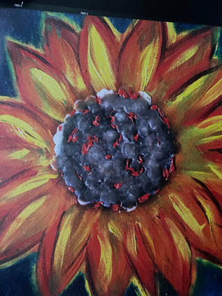 Zaz : Recto Verso (2xLP, Album)