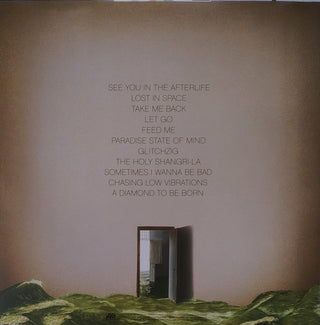 Foster The People : Paradise State Of Mind (LP, Album, Gre)