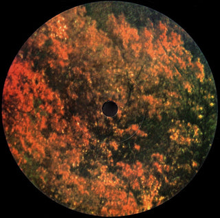 Tame Impala : Innerspeaker (2xLP, Album, RE)