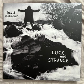 David Gilmour : Luck And Strange (LP, Album)