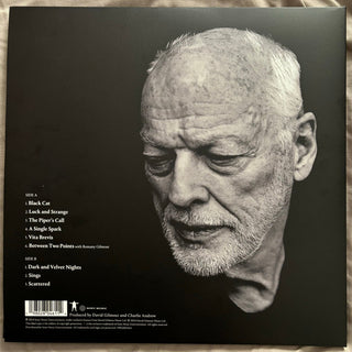 David Gilmour : Luck And Strange (LP, Album)
