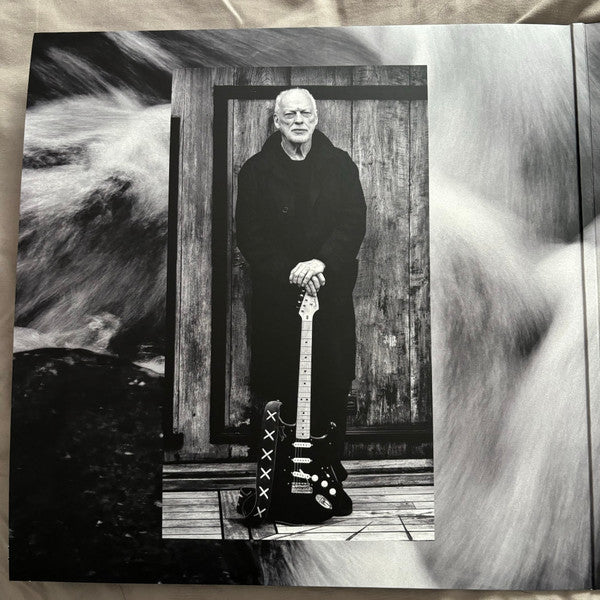 David Gilmour : Luck And Strange (LP, Album)