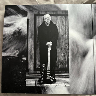 David Gilmour : Luck And Strange (LP, Album)