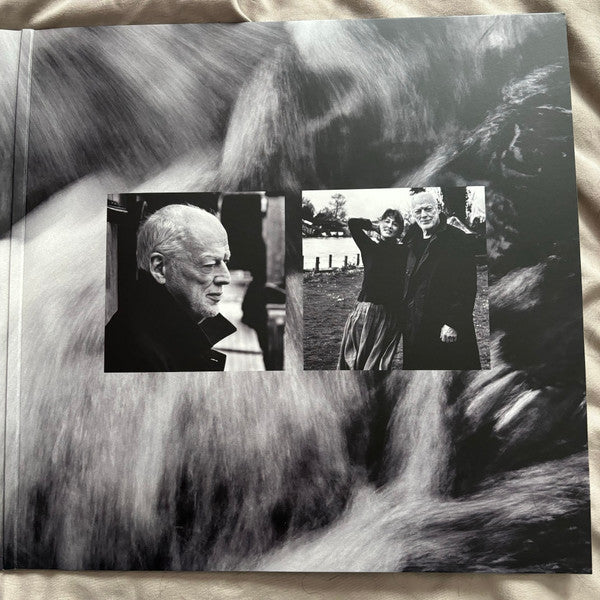 David Gilmour : Luck And Strange (LP, Album)
