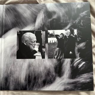 David Gilmour : Luck And Strange (LP, Album)