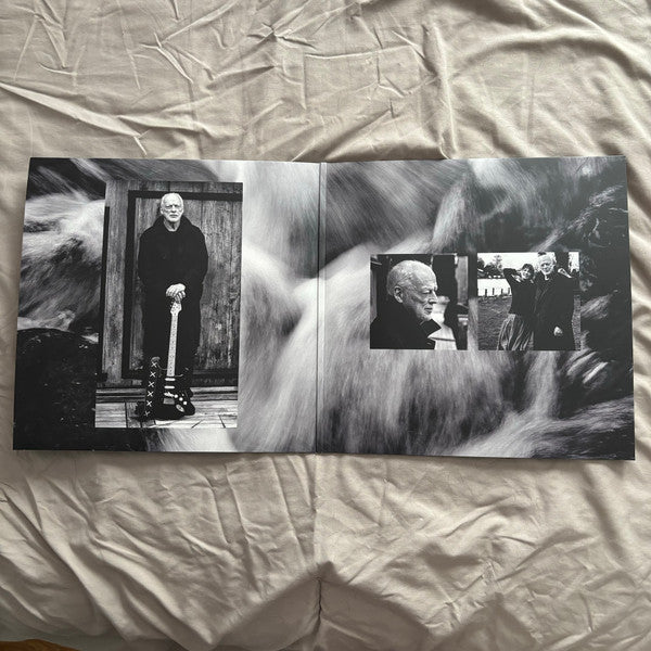 David Gilmour : Luck And Strange (LP, Album)