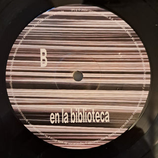 Electrodomésticos : En La Biblioteca (LP, Comp)