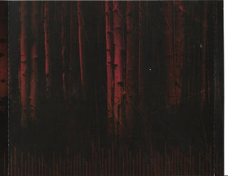 Chris Cornell : Songbook (CD, Album)