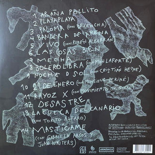 Gepe : Undesastre (LP, Album)