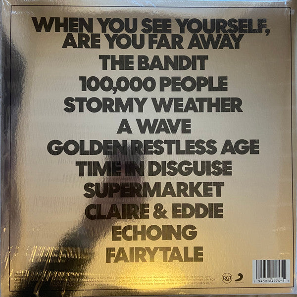 Kings Of Leon : When You See Yourself (2xLP, Album, Sil)