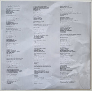 Wilco : A Ghost Is Born (2xLP, Album, RE)