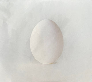 Wilco : A Ghost Is Born (CD, Album, RE, RM + CD + Twe)