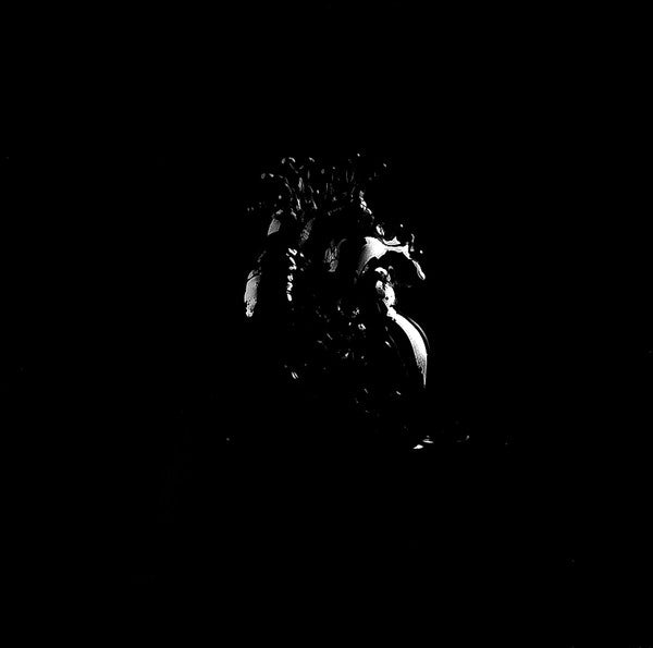 We Are The Grand : Corazón Negro (LP, Album)