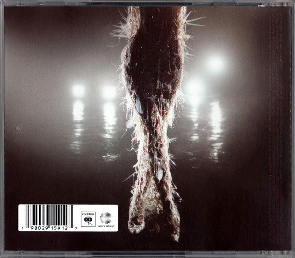Miley Cyrus : Something Beautiful (CD, Album)