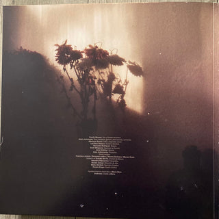 Camila Moreno : La Primera Luz (LP)