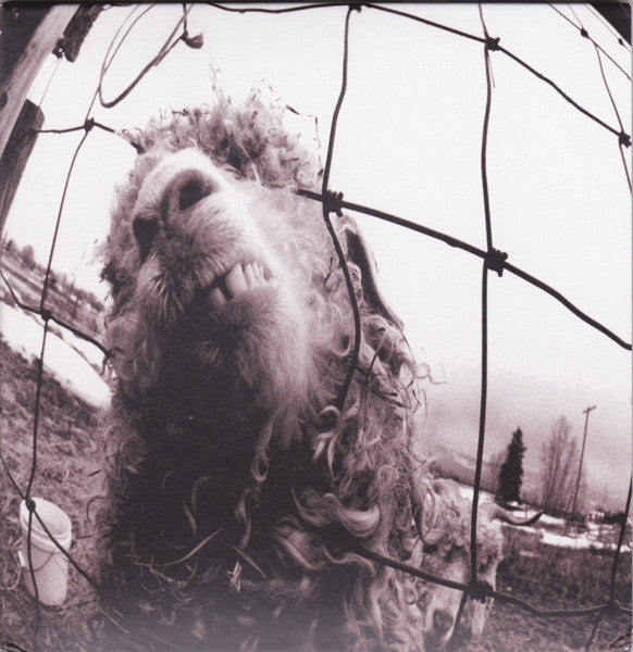 Pearl Jam : Vs (CD, Album, RM, Exp)