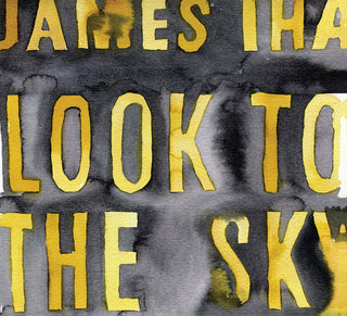 James Iha : Look To The Sky (CD, Album)