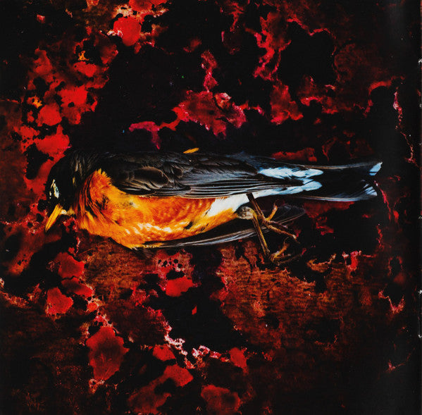 Slipknot : Antennas To Hell (CD, Comp)