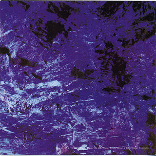 Echo & The Bunnymen : Ocean Rain (CD, Album, RE, RM)