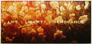 Various : Django Unchained (Original Motion Picture Soundtrack) (2xLP, Album, Comp, Gat)