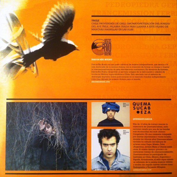 Various : Trile. Compilado Discos Rio Bueno 2010 (LP, Comp)