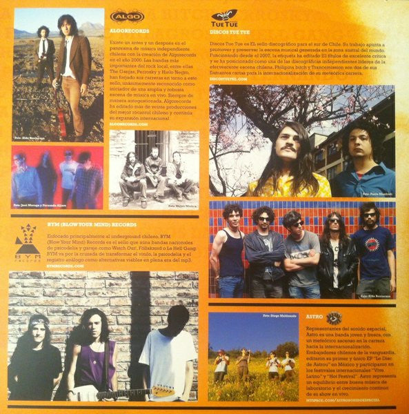 Various : Trile. Compilado Discos Rio Bueno 2010 (LP, Comp)