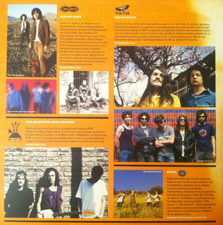 Various : Trile. Compilado Discos Rio Bueno 2010 (LP, Comp)
