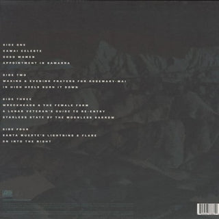 Paul Thomas Saunders : Beautiful Desolation (2xLP, Album)