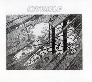Invisible (9) : Invisible (CD, Album, RE, RM, Dig)
