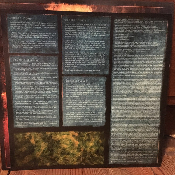 Disturbed : Indestructible (LP, Album, RE)