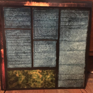 Disturbed : Indestructible (LP, Album, RE)