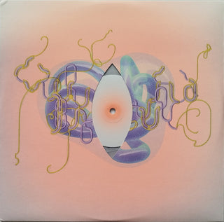 Björk : Notget (Lotic Fromdeath Version) (12", S/Sided, Etch, Ltd, Tra)