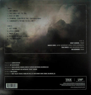 P.O.D. : The Awakening (LP, Album)