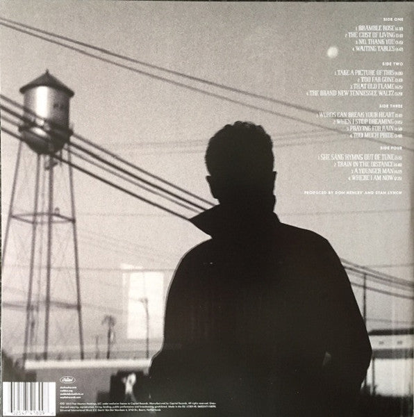 Don Henley : Cass County (2xLP, Album, Dlx, Gat)