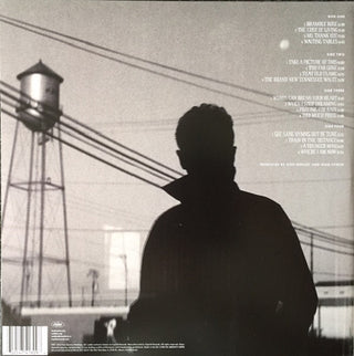 Don Henley : Cass County (2xLP, Album, Dlx, Gat)