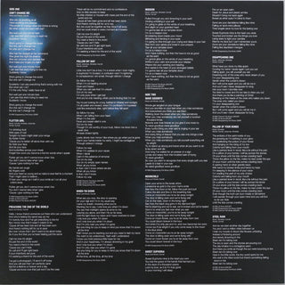 Chris Cornell : Euphoria Mourning (LP, Album, RE, 180)
