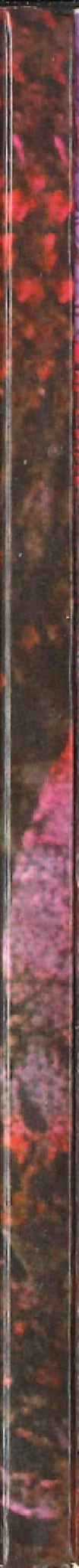 Black Sabbath : Black Sabbath (2xCD, Album, Dlx, RE, RM, Dig)