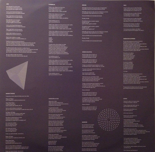 Astro (18) : Chicos De La Luz (LP, Album, Ltd)
