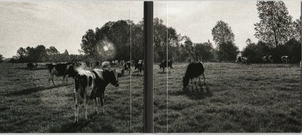Pink Floyd : Atom Heart Mother (CD, Album, RE, RM)