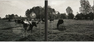 Pink Floyd : Atom Heart Mother (CD, Album, RE, RM)