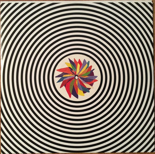 Flock Of Dimes : If You See Me, Say Yes (LP, Album)